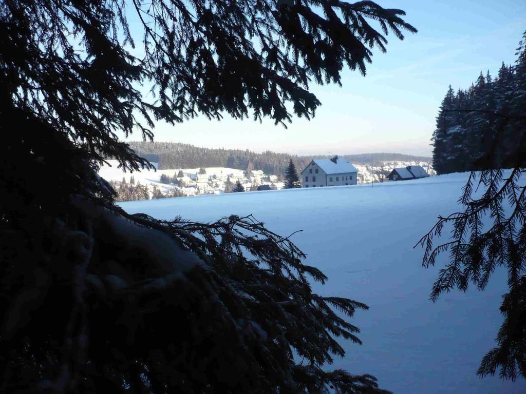 Hohengasthof Lowen - Escheck Schoenwald im Schwarzwald Exterior photo